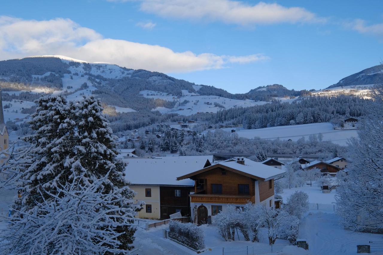 Apartament Alpin Penthouse Hollersbach Hollersbach im Pinzgau Zewnętrze zdjęcie