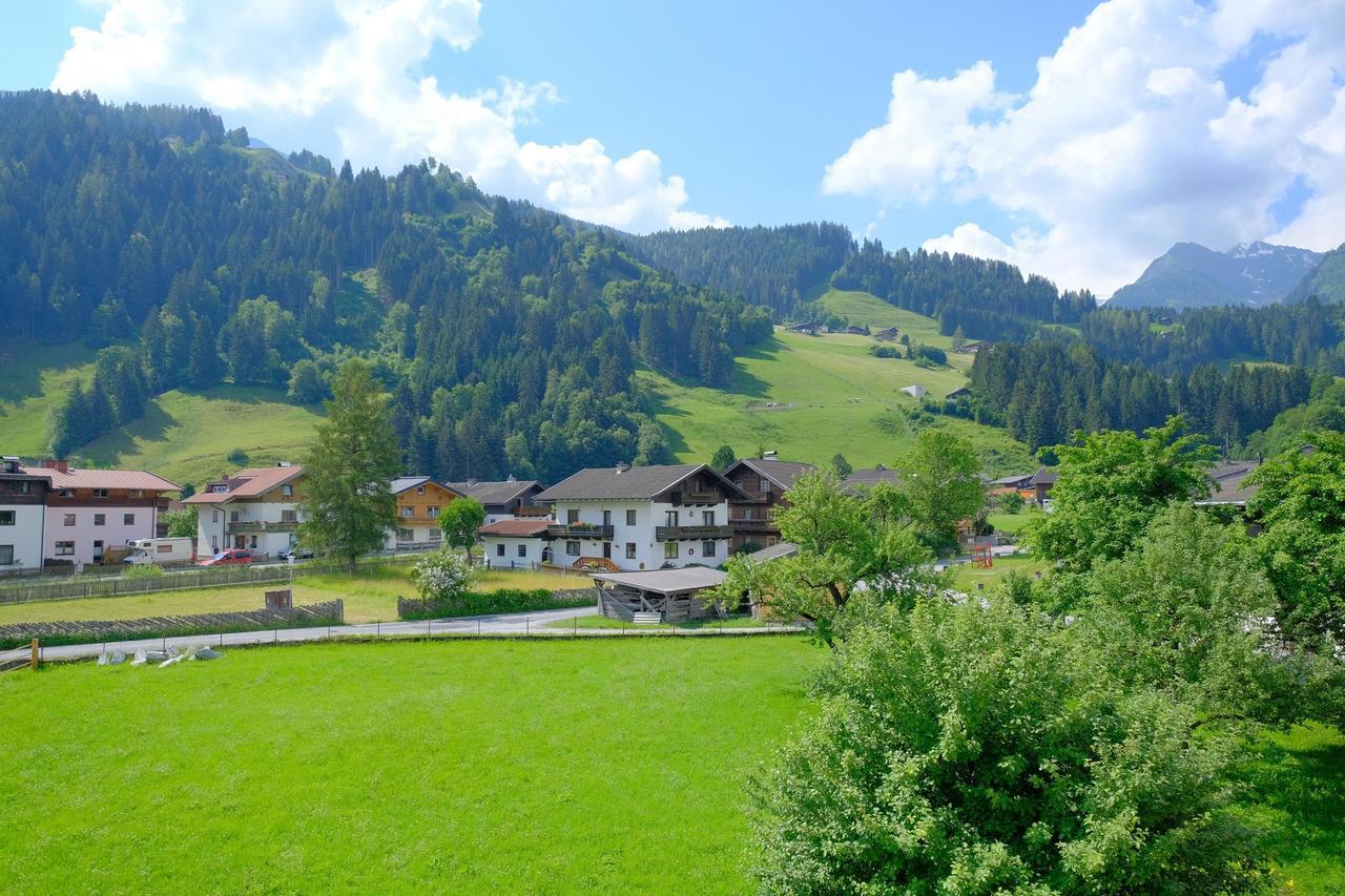 Apartament Alpin Penthouse Hollersbach Hollersbach im Pinzgau Zewnętrze zdjęcie